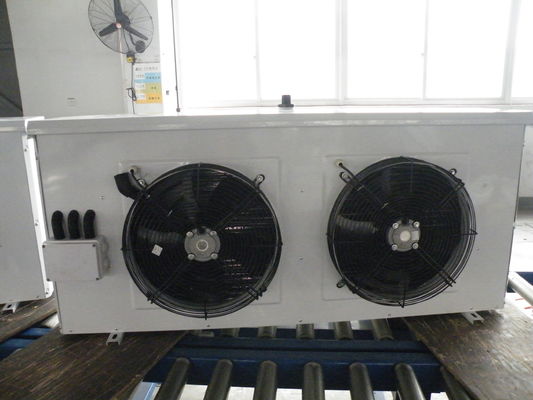 Monoblock Refrigeration Cold Room Cooling Unit For Meat Fish Vegetable