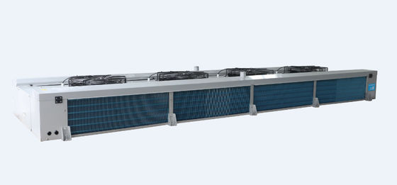 Industrial Copper Double Side Blow Air Cooler ED Series