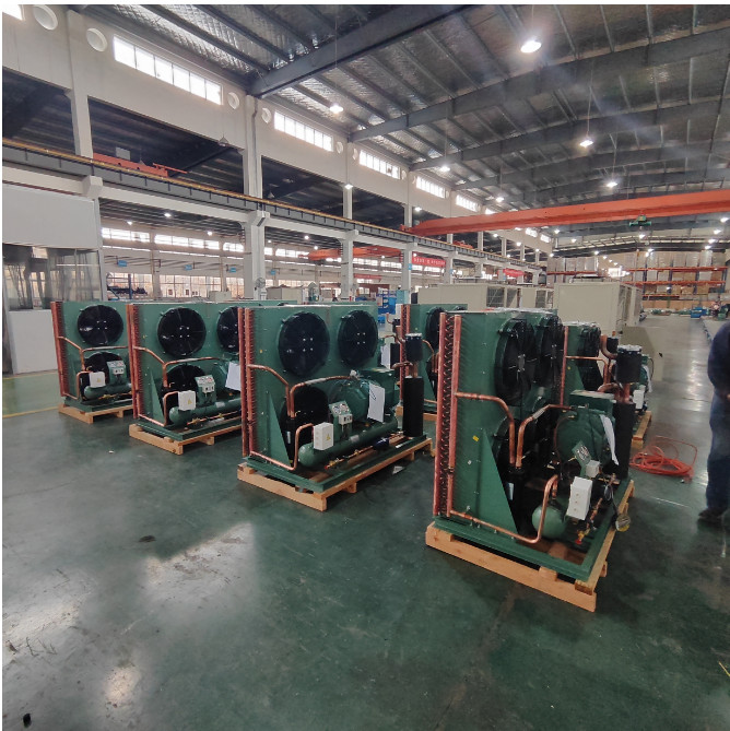 Open Type Condensing Unit Equipment For Hotels Building Material Shops