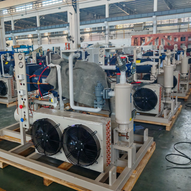 Parallel Structure Screw Compressor Rack With Copeland / Fracold / Daming Compressor