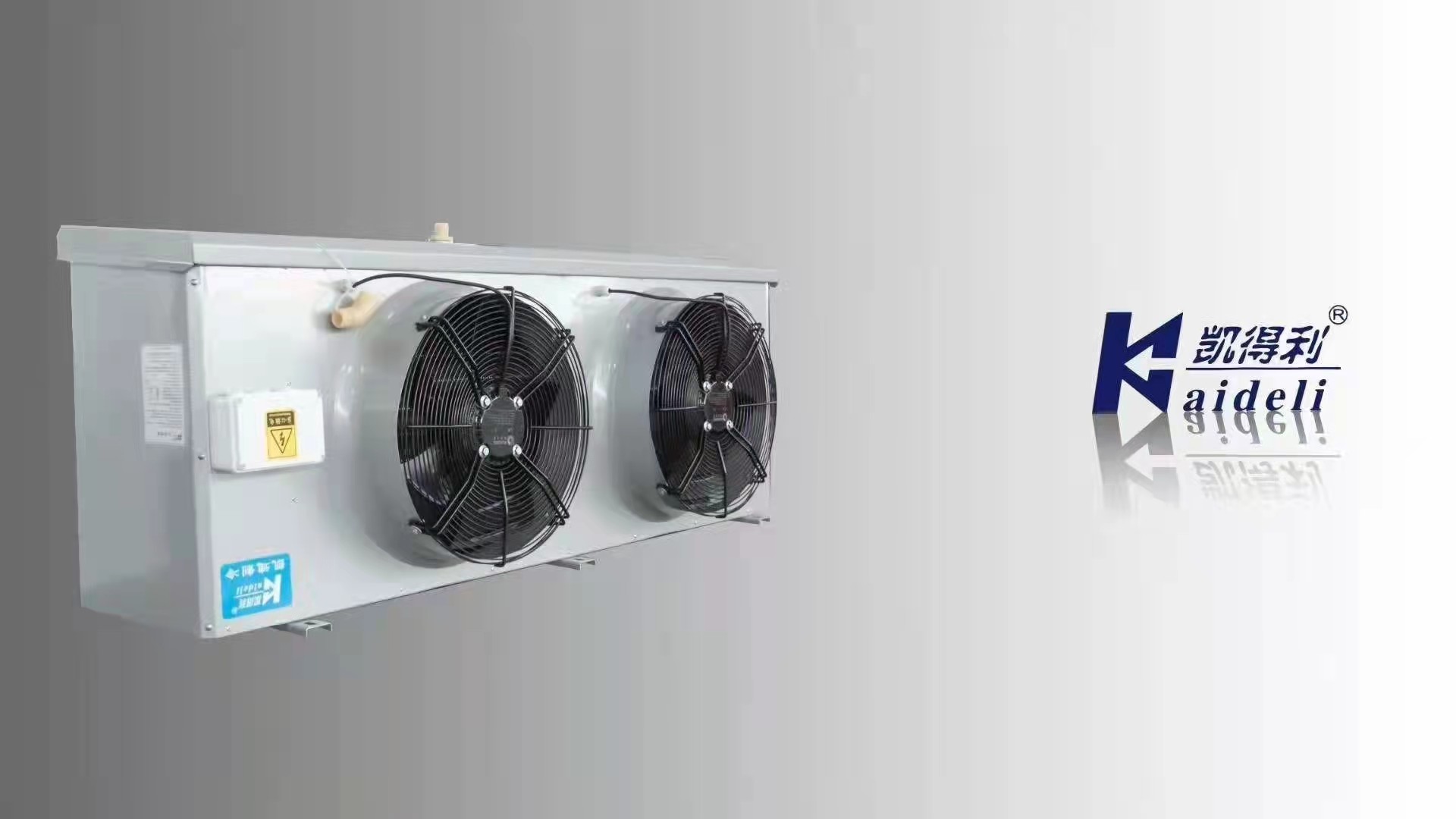 EH Cold Room Series Commercial Ceiling-type Air Cooler Air Machine With Refrigerant